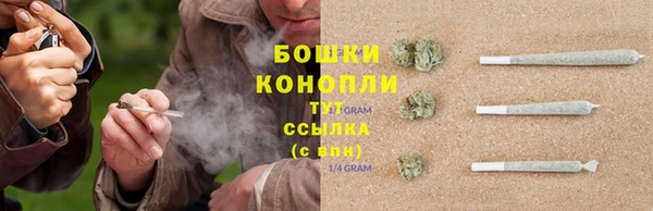 стаф Елабуга