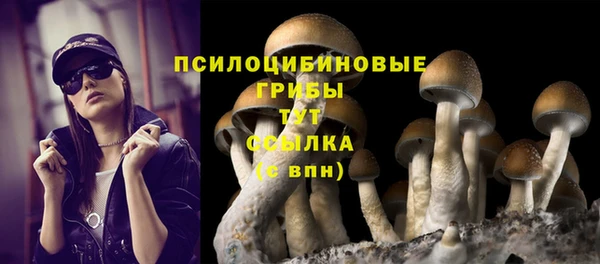 мдма Заволжск