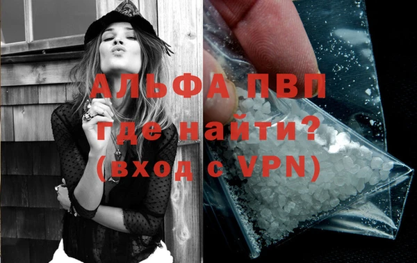стаф Елабуга