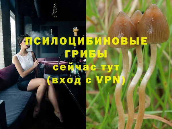 прущая мука Грязи