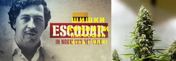 прущий лед Елизово