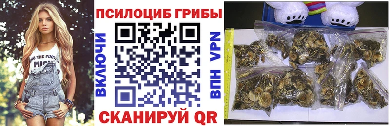 где можно купить   Ишимбай  Галлюциногенные грибы Psilocybine cubensis 